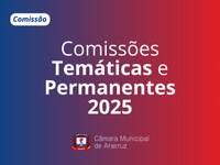 CÂMARA DEFINE A COMPOSIÇÃO DAS COMISSÕES PERMANENTES DE 2025